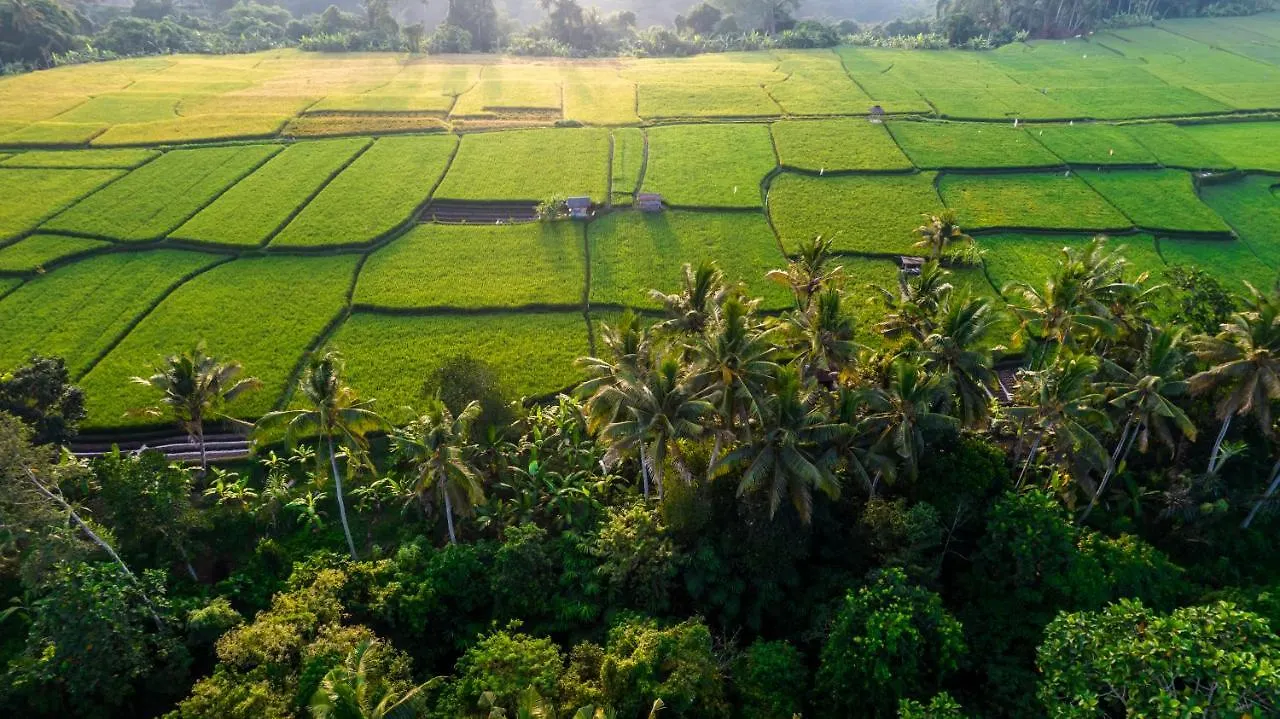 Villa Andrea By Balisuperhost Ubud